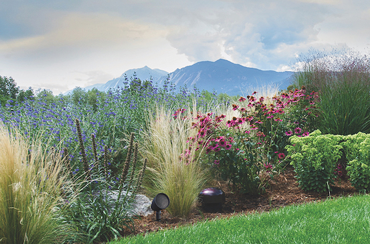 Beautiful landscaped garden with colorful flowers and shrubs, featuring a Sonance landscape speaker discreetly placed among the greenery.