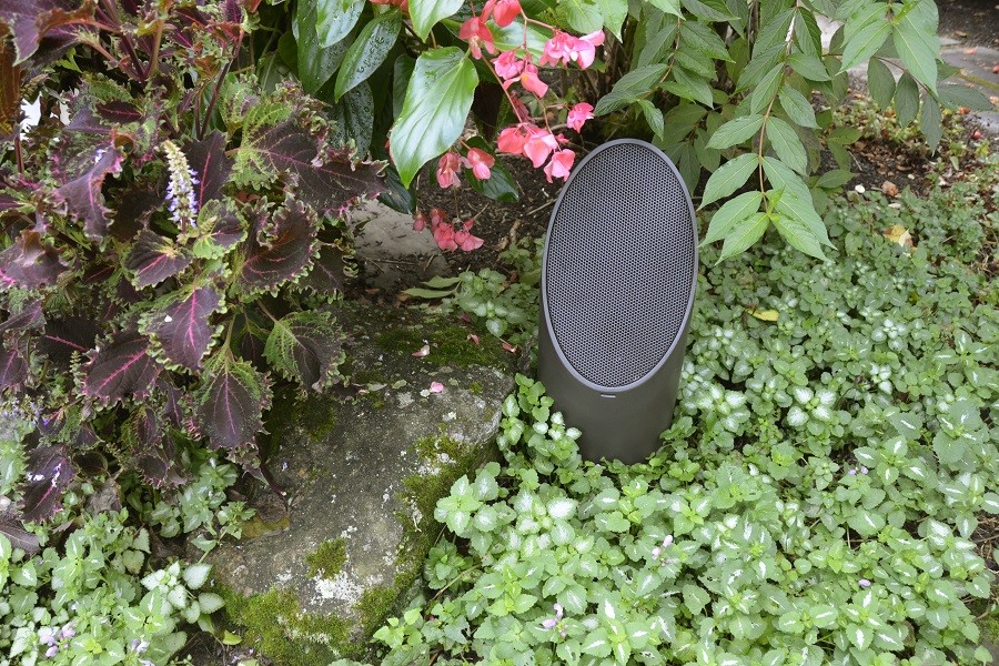 Coastal Source landscape speaker nestled between plants in a garden bed.