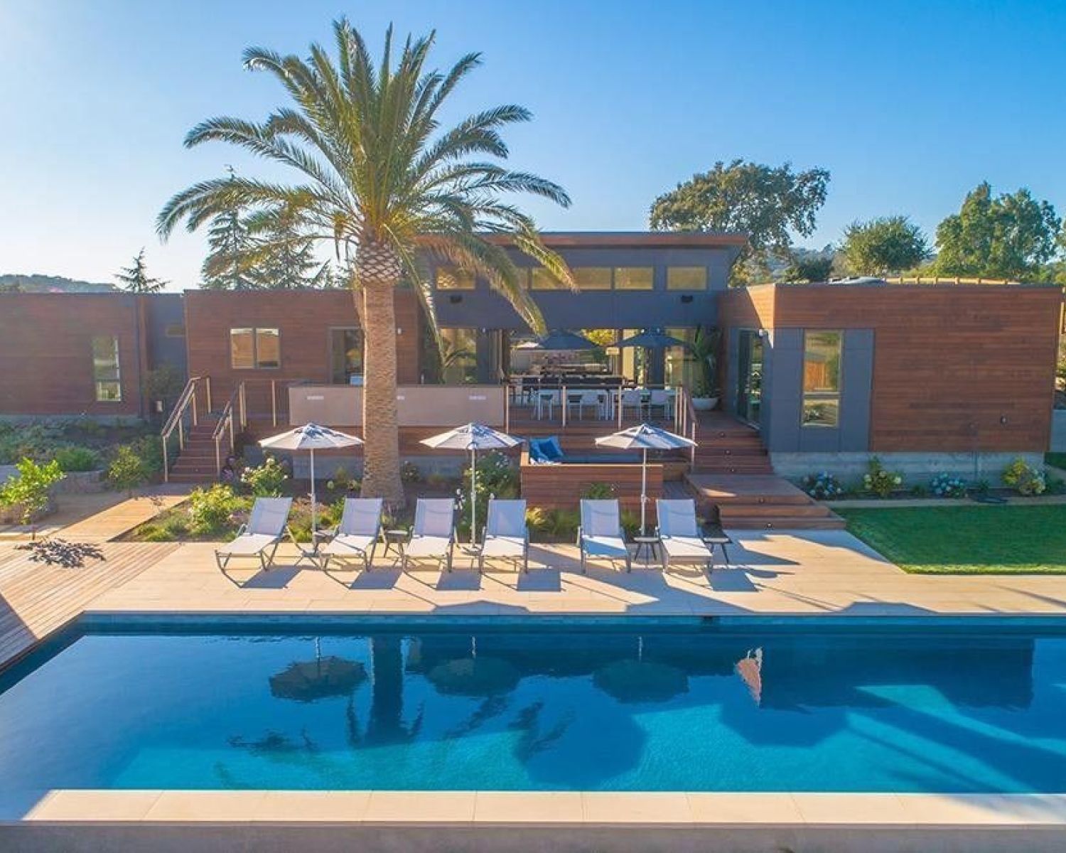 swimming pool next to palm tree modern home