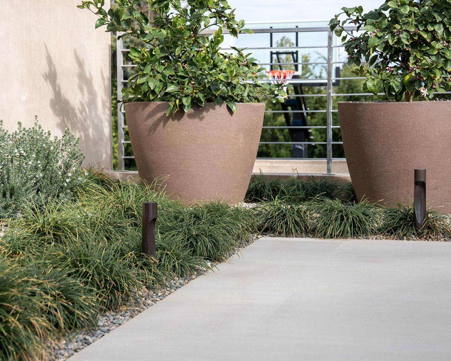 Outdoor walkway with modern planters and landscape lighting